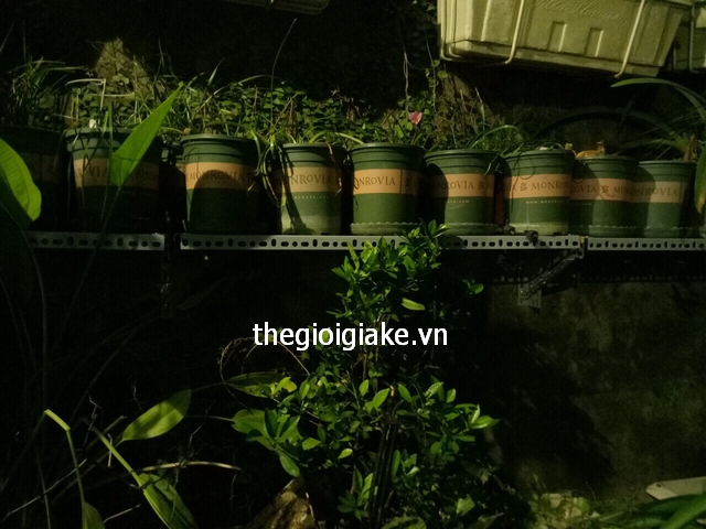 kệ sắt để cây cảnh